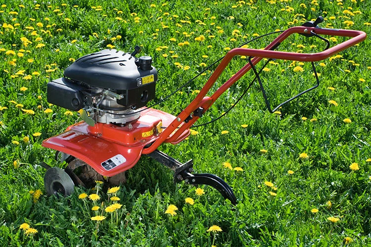 Electric Motor Market Booms Amid Green Energy Push