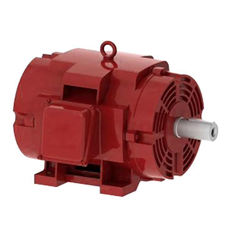 100 Hp Electric Motor