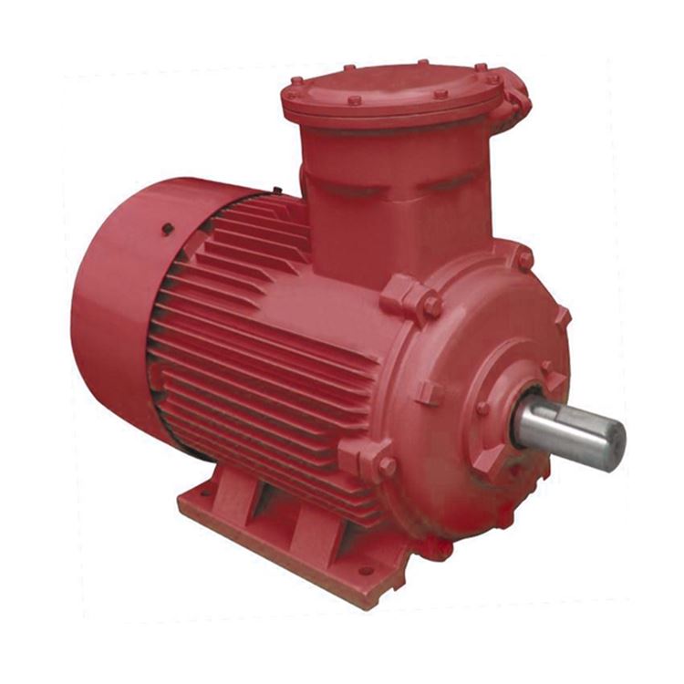 Ac Electric Motor
