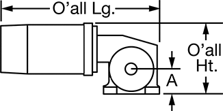 Worm Gear Motor