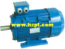 Induction Motor