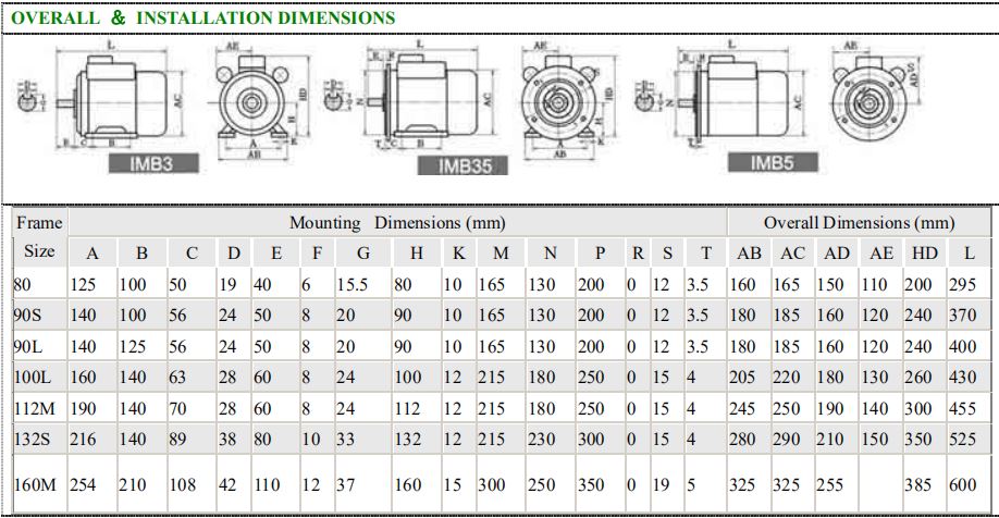 Single Phase Induction Motor