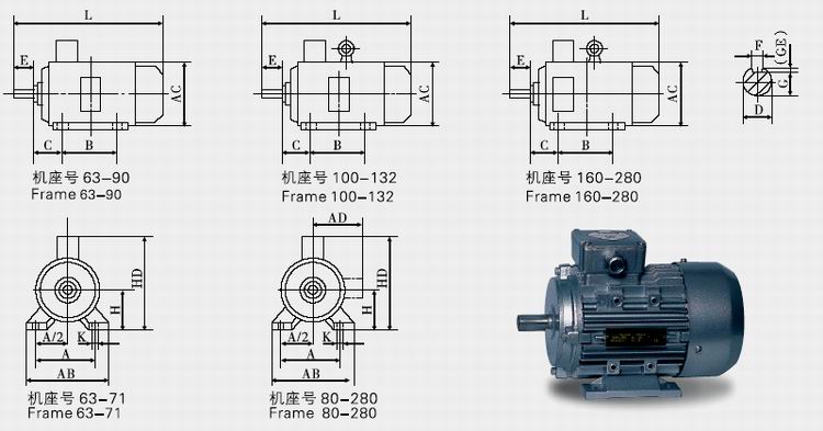 Three Phase Synchronous Motor