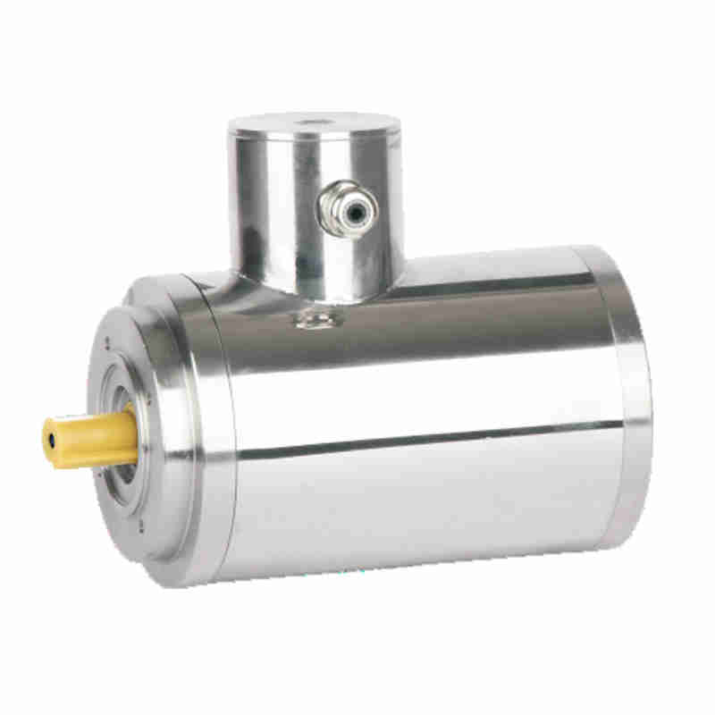BXG Series Hygienic Washdown Stainless Steel Premium Three Phase Induction Motors