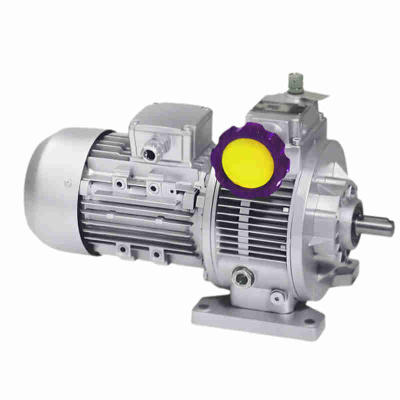 UD Series Mechanical Stepless Transmission Machine RW Worm Gear Unit