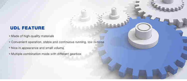 Excellent Quality Aluminium Variable Speed Reducer Electric Reduction Worm Motor 2: 1 Ratio Gearbox