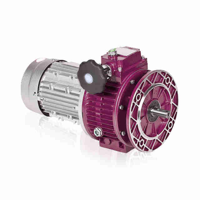 Mrv Mini Gear Reducer for Wholesales