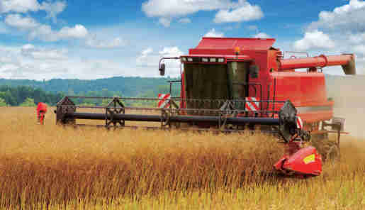Agricultural Machinery Short Pitch Attachment Chains for Combine Harvesters