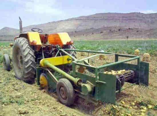 AWB-1600CAR 2 ROWS Potato Harvester 1500kg Side Discharge + Deviner Web Trailed Potato Diggers for Carrots, Garlic or Onions
