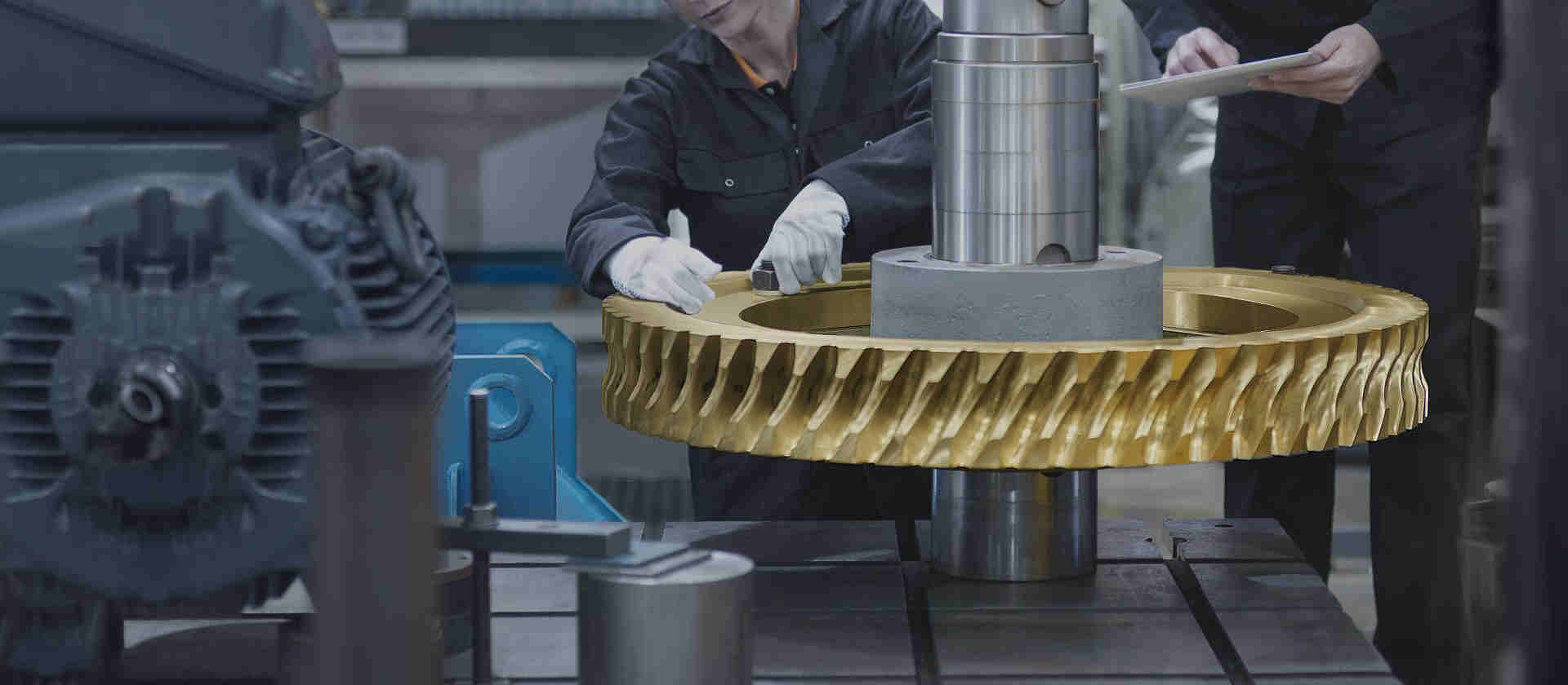 Metric Self Locking Globoid Steel Brass Pinion Slew Drive Wheel Steering Set Elevator Hobbing Machine CNC Screw Shaft  Worm Gear
