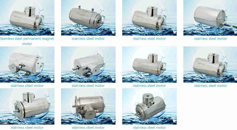 NEMA TENV TEFC IEC Explosion-Proof Stainless Steel Electric Motor IP67 Washdown Food Processing AC Motor Waterproof Applications