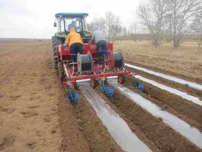 Farm Sowing Machine 2CM-2 Double Rows Potato Planter with Fertilizer