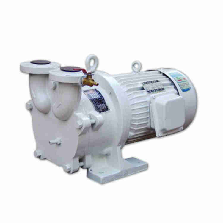 2SK Single Double Stage Liquid Water-ring Vacuum Pump Boosters Roots Rotary Van Piston Pump Replacement of Kinney