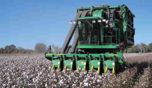Good Quality Agricultural Machinery Chains for Sugar Cane Harvester