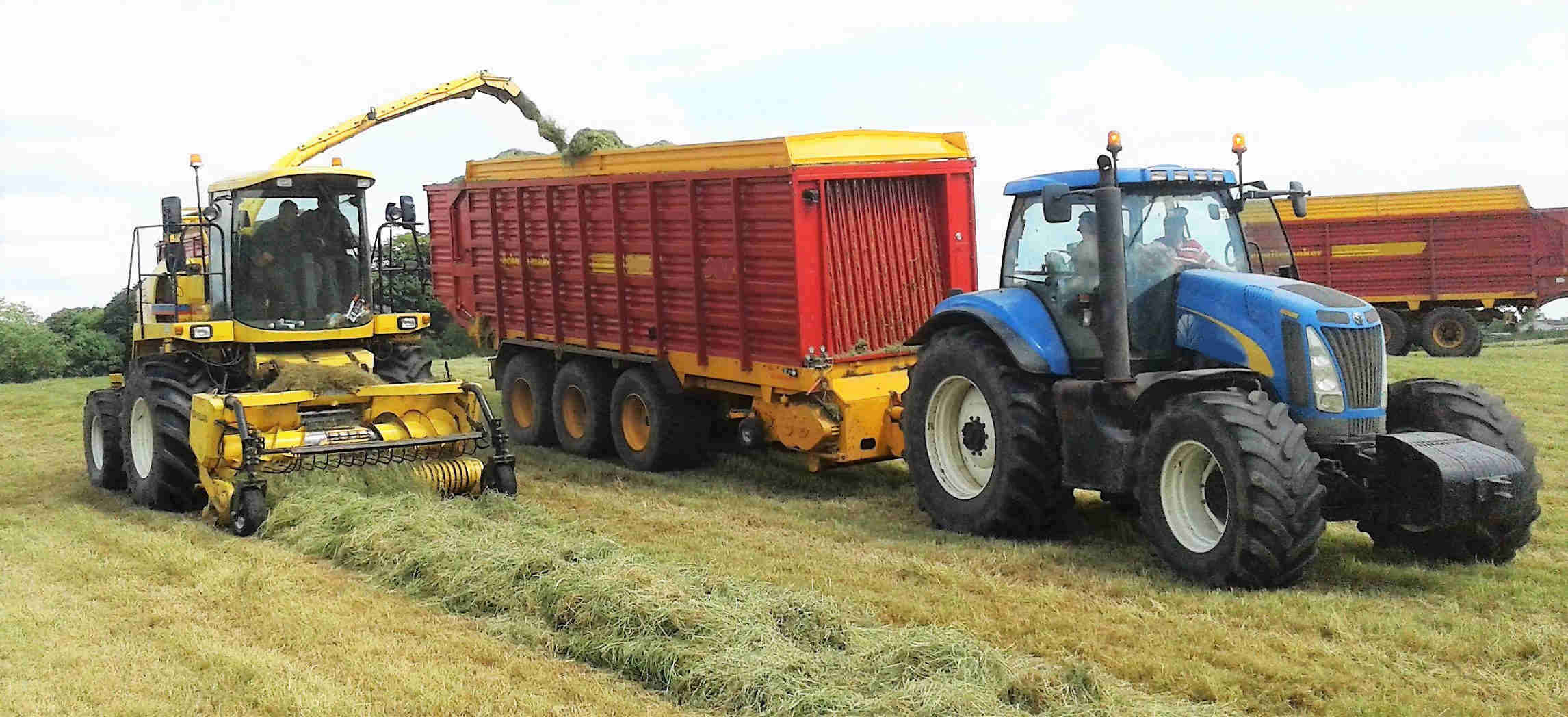 Silage Machine Forage Harvester Speed Reducer Gear Drive Silage Machine Gearbox for German Champion Four Disc (Type 3500)