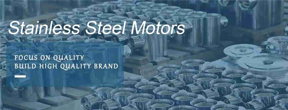 Promotional Various B3 Foot Mounted TEFC IEC Stainless Steel Motor for Food Processing Plant