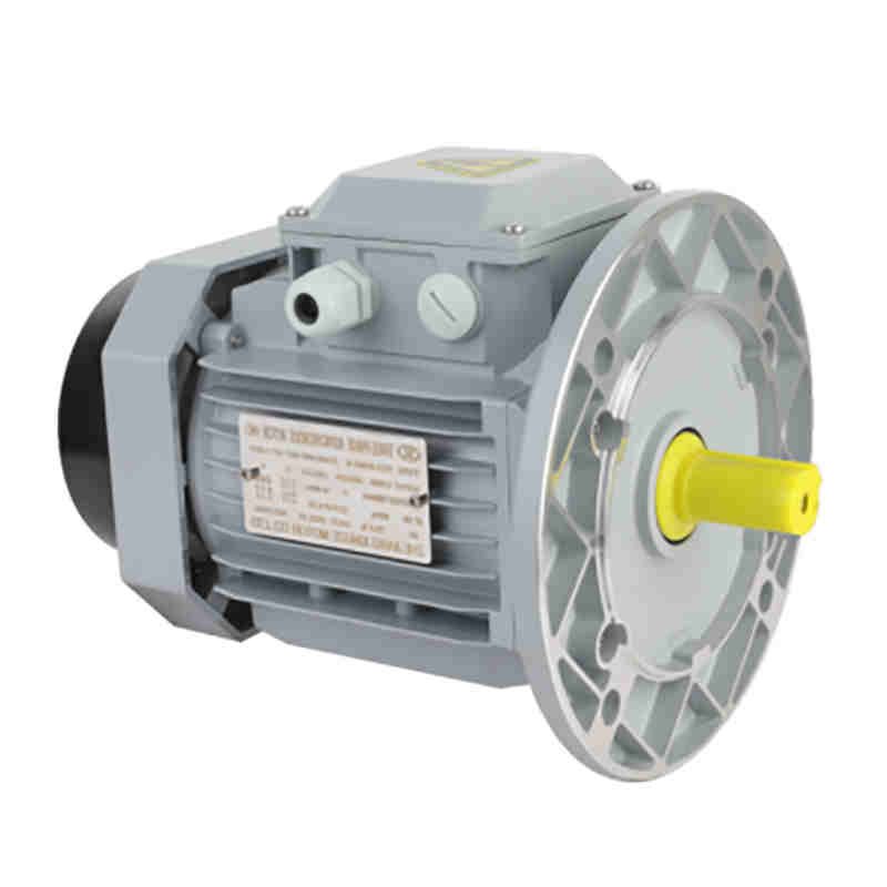 Low Noise B5 Vertical IP55 Waterproof Protection Aluminum Shell Three-Phase Asynchronous Motor for Fans and Water Pumps