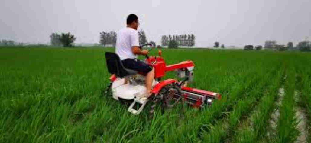 Wholesale Quality Japanese Paddy Field Rotary Blade Replacement of Agricultural Cultivator