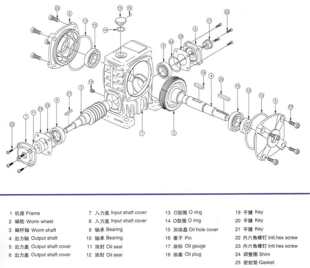 Customized Small Gear Motor Nmrv 063 Servo Motor and Gearbox for Elevator