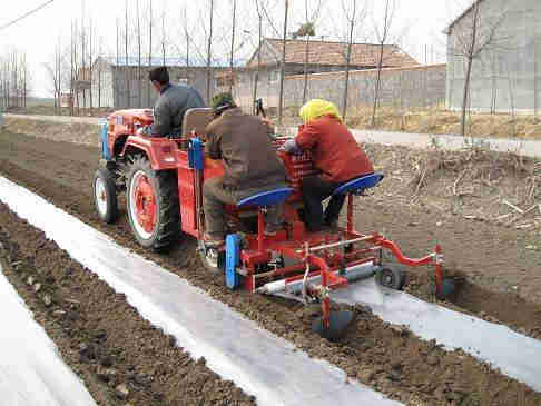 1 Row Potato PlanterPotato Seeder With Fertilizer Applicator