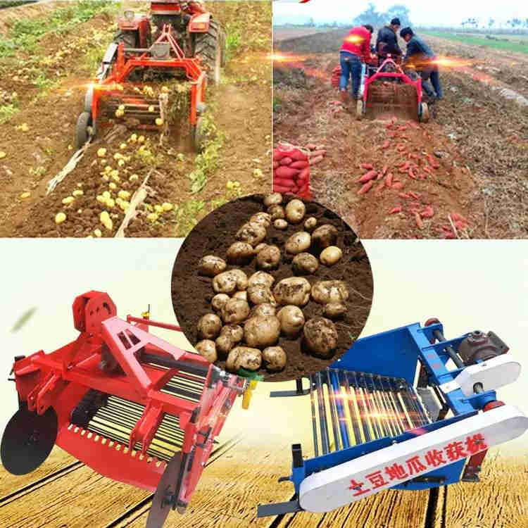 Tractor Mounted Potato Harvester Rock Picker