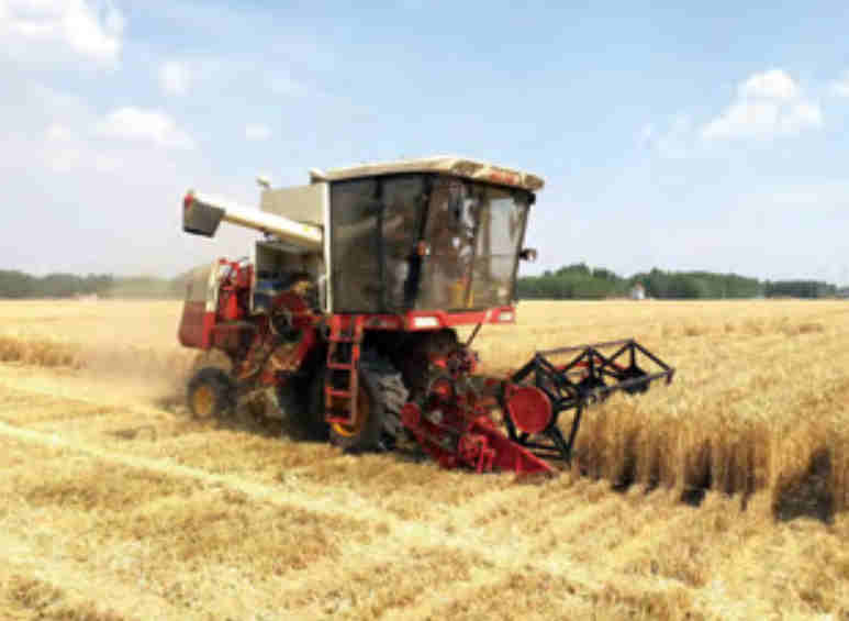 Agricultural Transmission Chains for Wheat Harvester Essential Machinery Parts