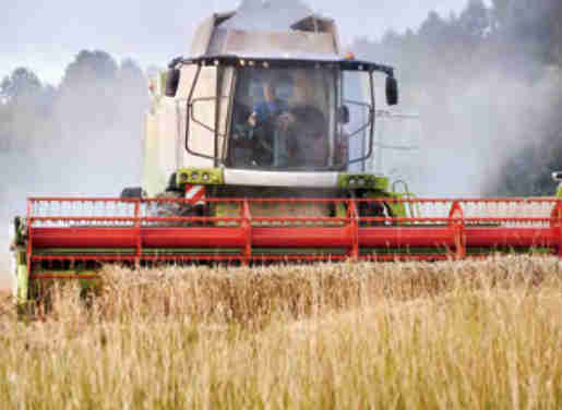 Good Quality Agricultural Machinery Rice Harvester Chains for sale