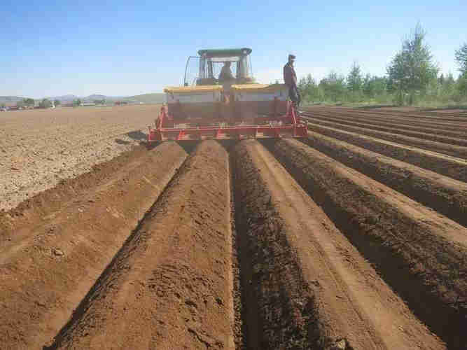What Is a Spring Tooth Harrow
