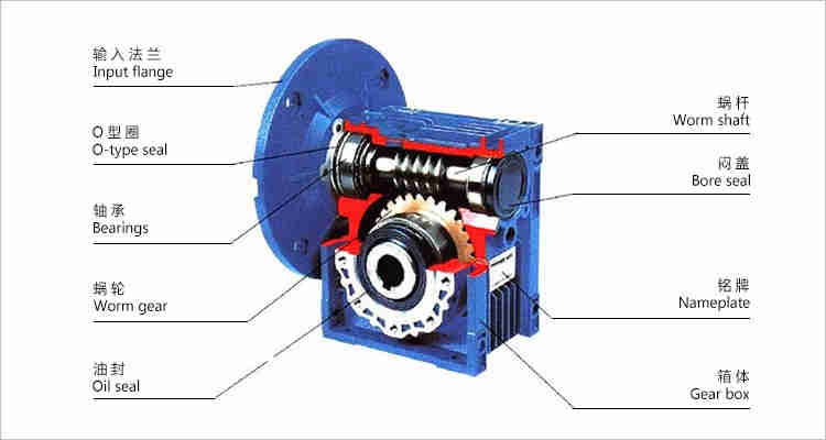 Right Angle Worm Gear Reducer NMRV 063