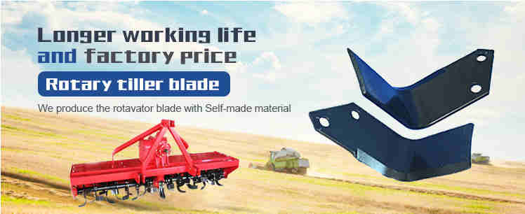High Quality Forging Rotavator Blade for Soil Cultivation