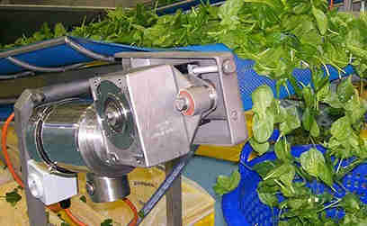 NEMA TENV TEFC IEC Explosion-Proof Stainless Steel Electric Motor IP67 Washdown Food Processing AC Motor Waterproof Applications