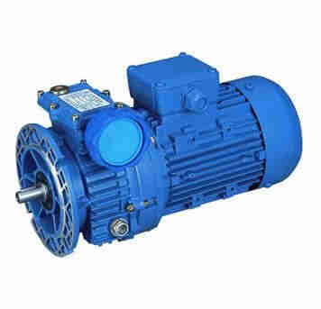 Dual Shaft Electric Motor