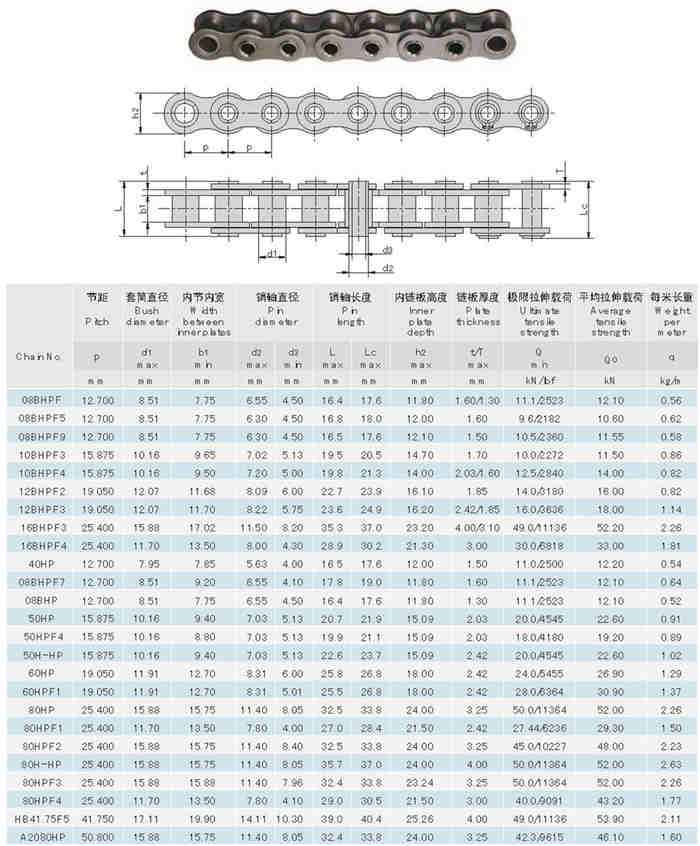 Hollow Pin Chain 08BHPF 08BHPF5 08BHPF9 10BHPF3 10BHPF4 12BHPF2 12BHPF3 16BHPF3 16BHPF4 40HP  08BHPF7 08BHP 50HP 50HPF4 50H-HP