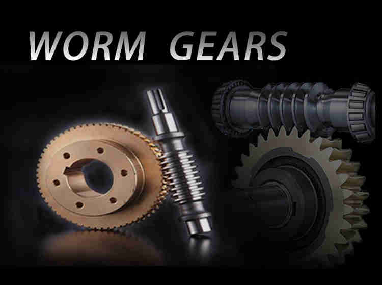 Professional Cheap Worm Precision Reduction Worm Gear Transmission Speed Reducer Copper Worm Gear Wheel and Shaft
