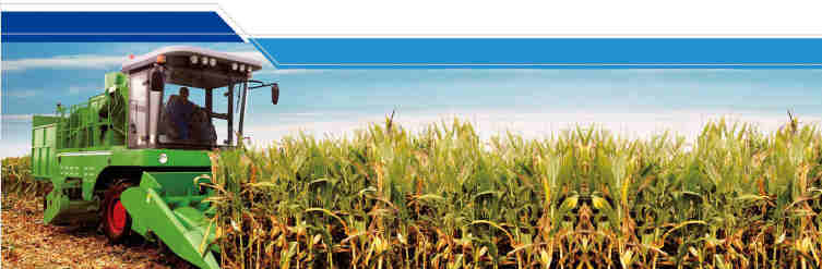 HSG50 /22*143-345 Steering Oil Hydraulic Cylinder for Agricultural Harvest Wheat Corn Rice Feed