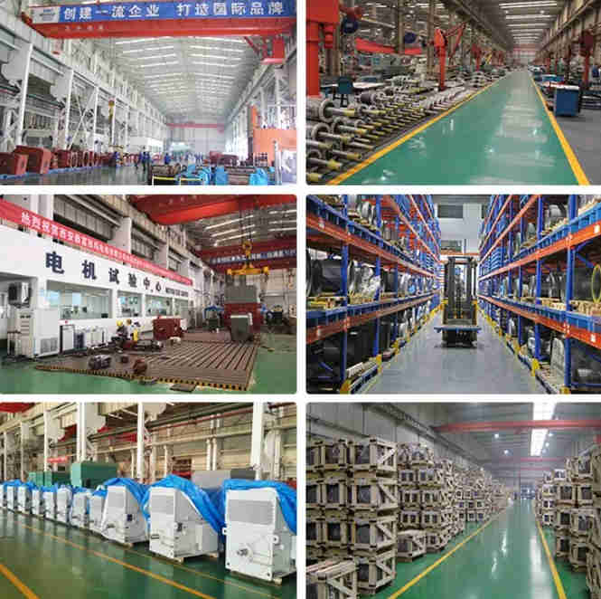 NEMA TENV TEFC IEC Explosion-Proof Stainless Steel Electric Motor IP67 Washdown Food Processing AC Motor Waterproof Applications