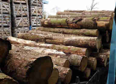 Agricultural Spare Parts Logging Machinery Chains for Sale
