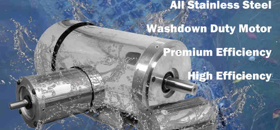 NEMA TENV TEFC IEC Explosion-Proof Stainless Steel Electric Motor IP67 Washdown Food Processing AC Motor Waterproof Applications