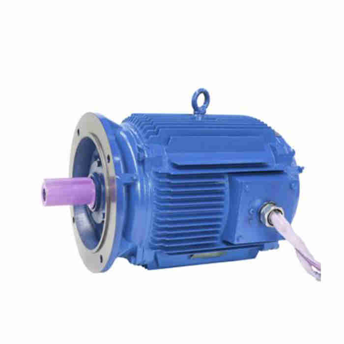 YC90S 1.5HP Series Single-phase Capacitor Start Asynchronous Motors