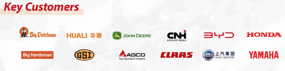 Agricultural Machinery Chains for Rotary Tiller