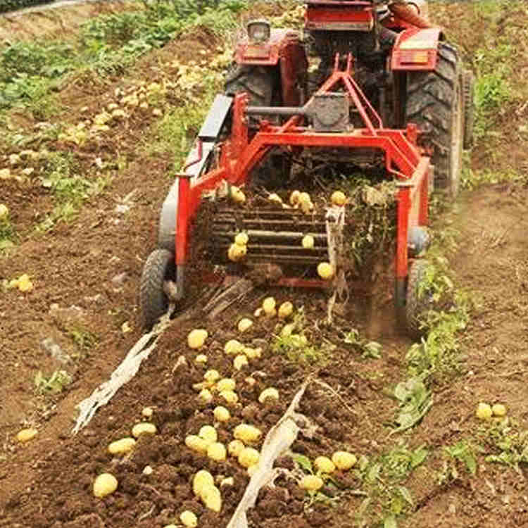 Combine Harvester Sweet Small Potato Digger