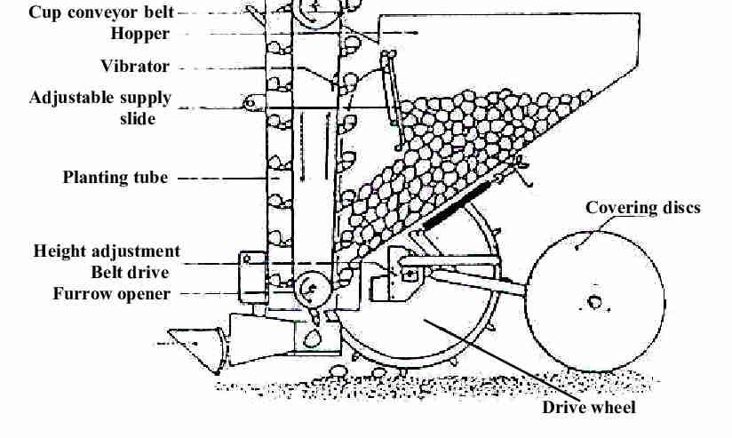 1 Row Potato PlanterPotato Seeder With Fertilizer Applicator
