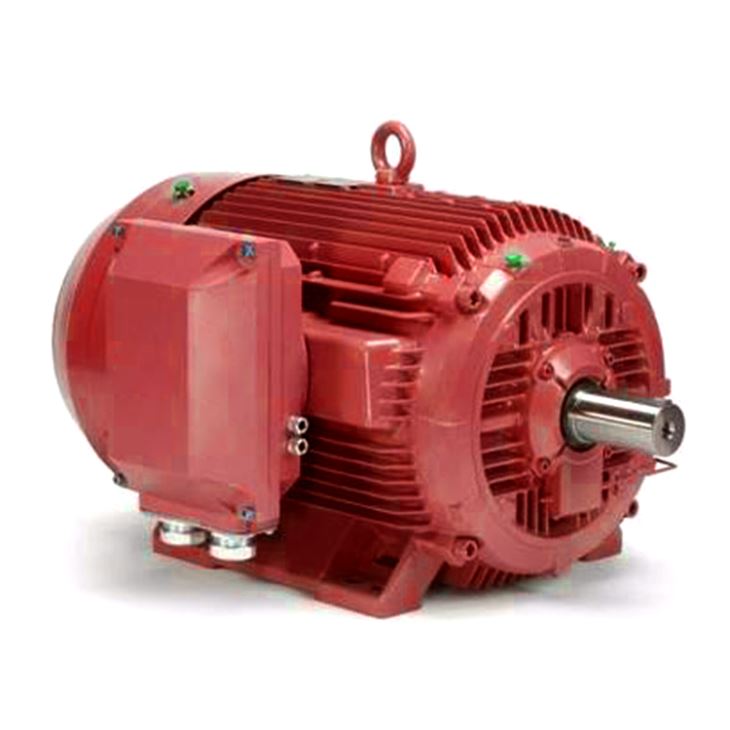 Ac Induction Motor