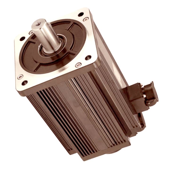 Ac Servo Motor