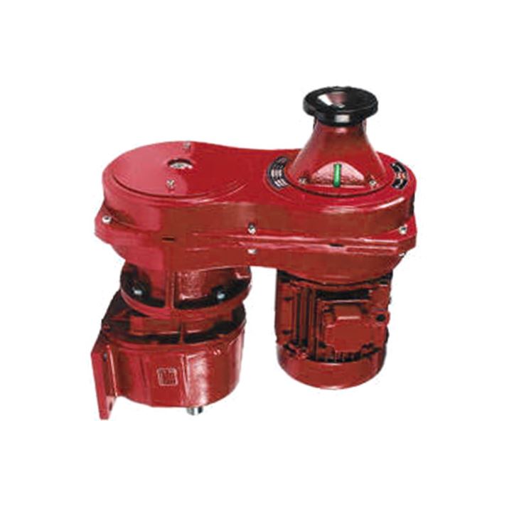 Variable Speed Gear Motor